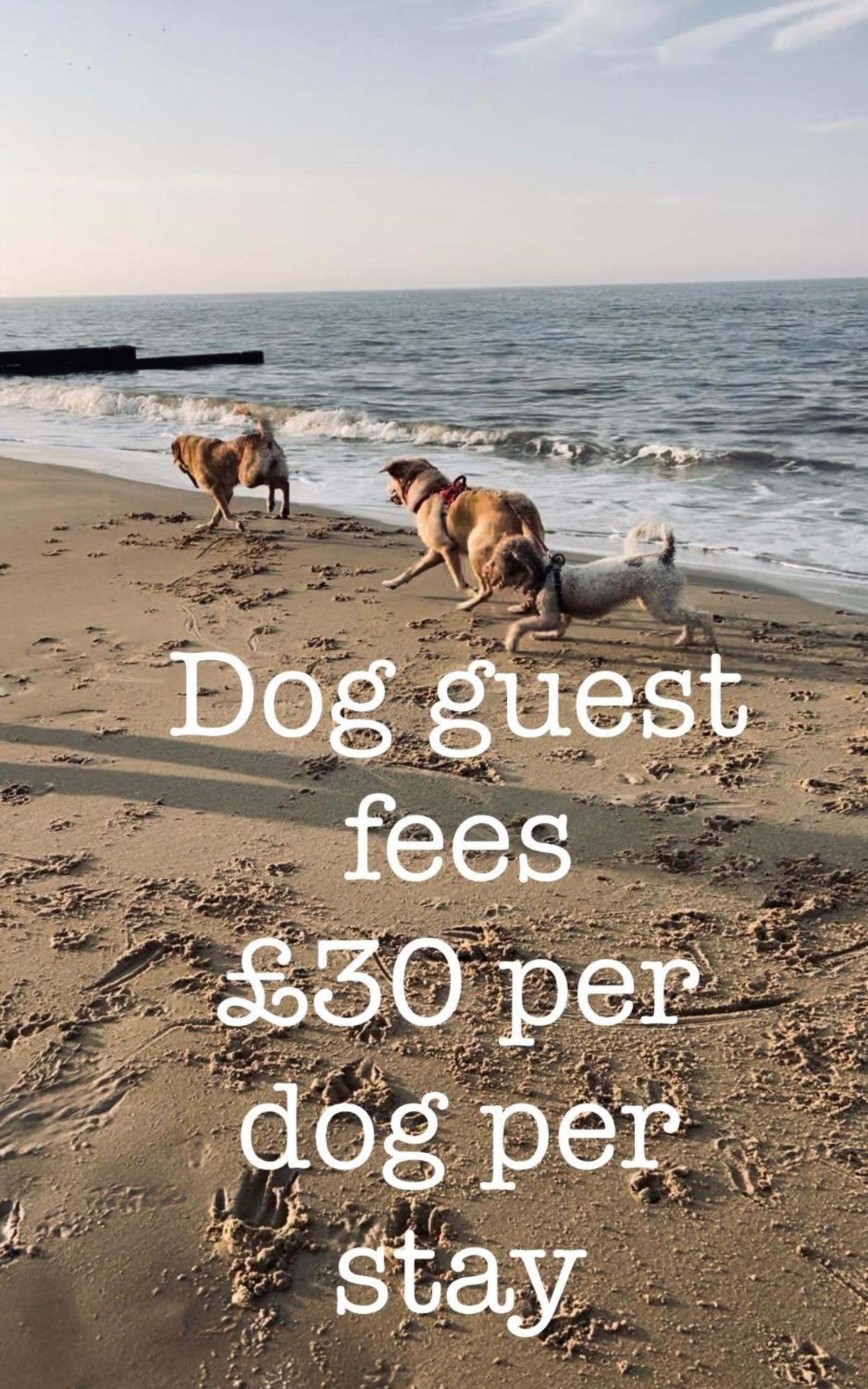 Coastal Terrace Dogs Welcome Optional Hot Tub Villa Sea Palling Bagian luar foto